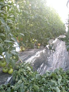 071108_1619~0001.jpg