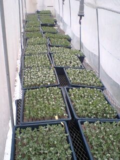 080509_1051~0001.jpg