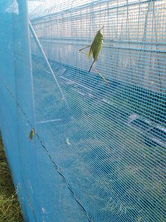 080708_1721~0001.jpg