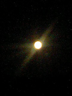 081015_1824~0001.jpg