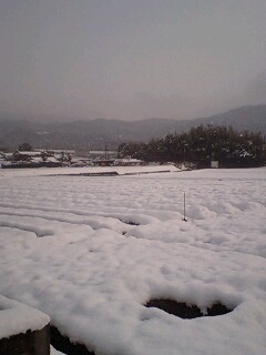 090125_1021~0001.jpg