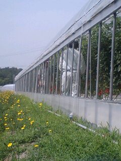 090617_0955~0001.jpg