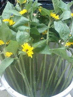 100414_1845~0001.jpg