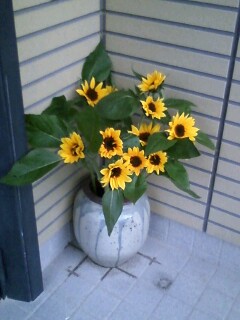 100422_1840~0001.jpg
