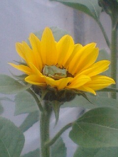 100422_1610~0001.jpg