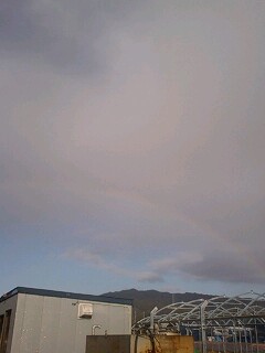 110103_1507~0001.jpg