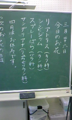 110326_1028~01.jpg