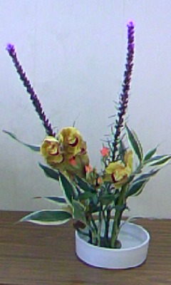 110326_1034~02.jpg