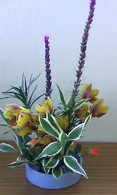 110326_1049~02.jpg