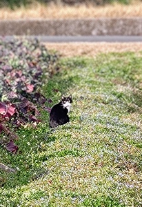 DSC_0083~2.JPG