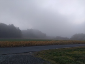 DSC_0160.JPG