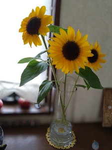 DSC_0295~2.JPG