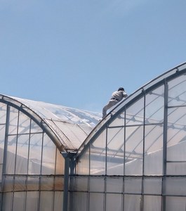 DSC_0188~2.JPG